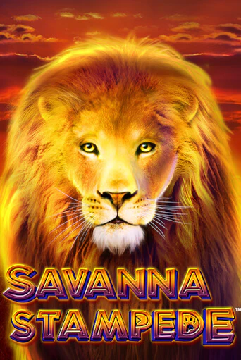 Savanna Stampede популярный слот бесплатная демо-версия | Azino 777